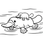coloriage Ornithorynque à imprimer pour enfant de 3 ans