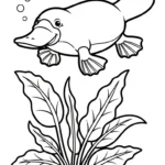coloriage Ornithorynque pour enfant de 6 ans