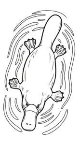 coloriage Ornithorynque pour enfant de 6 ans