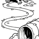 coloriage Ornithorynque d
