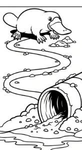 coloriage Ornithorynque d