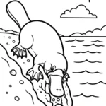 coloriage Ornithorynque en ligne pour enfant