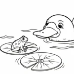 coloriage Ornithorynque pour bebe a imprimer