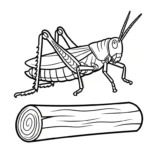 coloriage Sauterelle gratuit