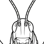 coloriage Sauterelle et dessin a imprimer