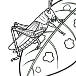 coloriage Sauterelle et apprentissage