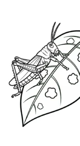 coloriage Sauterelle et apprentissage