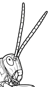 coloriage Sauterelle et découpage à imprimer