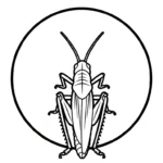 imprimer coloriage Sauterelle gratuit