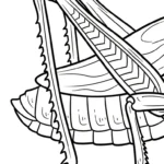 coloriage Sauterelle à imprimer pdf gratuit