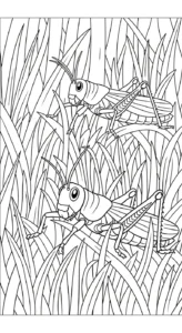 coloriage Sauterelle et decoupage a imprimer gratuit