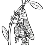 coloriage Sauterelle a imprimer gratuitement