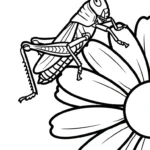 coloriage Sauterelle pour enfant de 8 ans