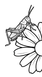 coloriage Sauterelle pour enfant de 8 ans
