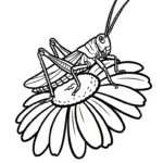 coloriage Sauterelle a imprimer