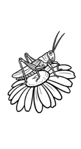 coloriage Sauterelle a imprimer