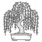 coloriage Bonsaï pour enfant