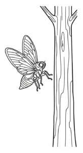 coloriage Cigale et dessins