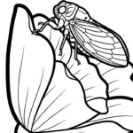 coloriage Cigale a imprimer pour enfant de 4 ans