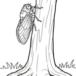 coloriage Cigale et decoupage a imprimer gratuit