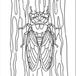 coloriage Cigale à imprimer pour enfant de 2 ans