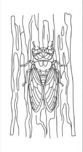 coloriage Cigale à imprimer pour enfant de 2 ans