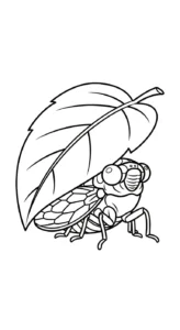 coloriage Cigale pour primaire