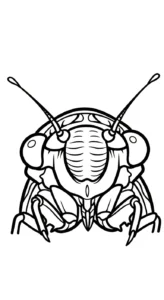 coloriage Cigale à imprimer pour enfant de 3 ans