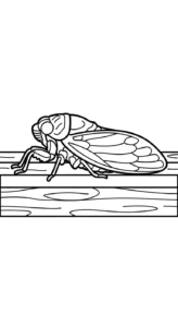 coloriage Cigale a colorier en ligne gratuitement