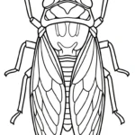 coloriage Cigale à imprimer pour enfant de 10 ans