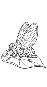 coloriage Cigale à imprimer pour enfant de 3 ans