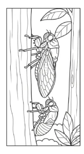 coloriage Cigale pour enfant de 5 ans