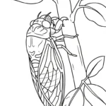 coloriage Cigale a imprimer