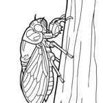 coloriage Cigale pour enfant de 3 ans