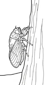coloriage Cigale pour enfant de 3 ans