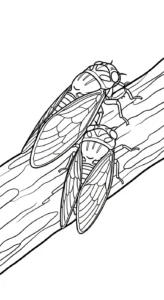 coloriage Cigale d