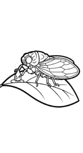 coloriage Cigale pour enfant de 5 ans