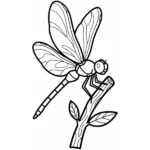 Libellule