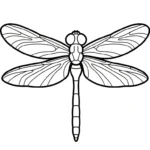 coloriage Libellule a imprimer