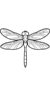 coloriage Libellule a imprimer