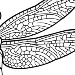 a imprimer coloriage Libellule gratuit
