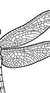 a imprimer coloriage Libellule gratuit