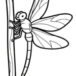 coloriage Libellule pour enfants à télécharger