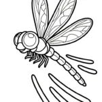 coloriage Libellule pour enfants a imprimer
