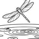 coloriage Libellule et apprentissage