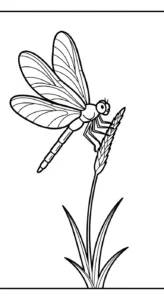 coloriage Libellule educatif pour enfant