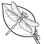 coloriage Libellule pour enfants