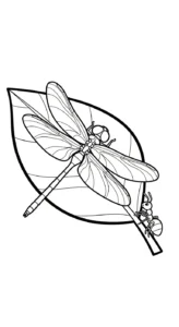 coloriage Libellule pour enfants