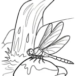 coloriage Libellule à imprimer pour enfant de 8 ans