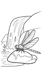 coloriage Libellule à imprimer pour enfant de 8 ans
